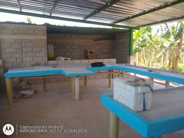 place photo 14