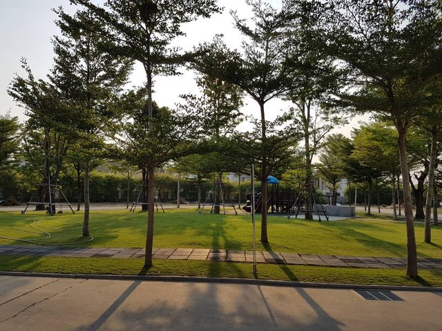 place photo 31