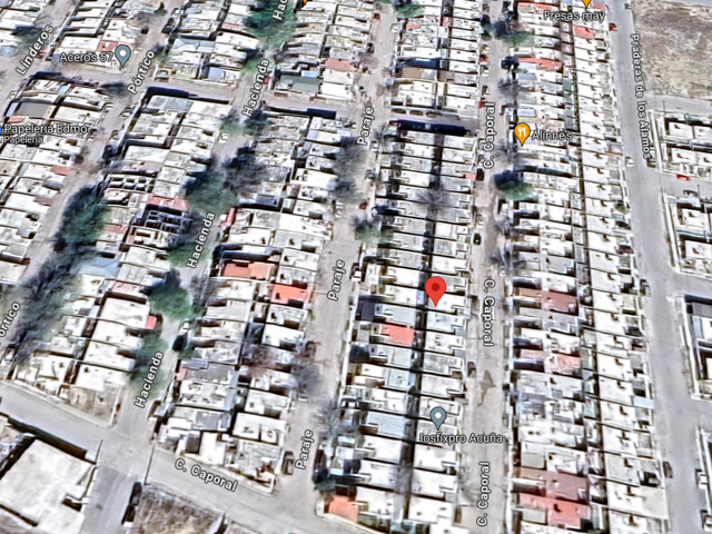 place photo 14