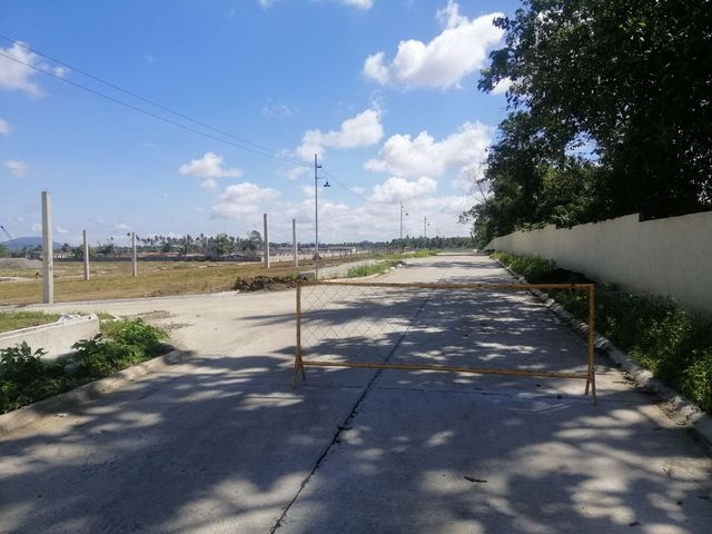 place photo 18