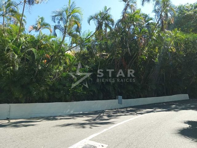 place photo 17
