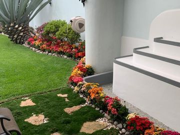 place photo 14