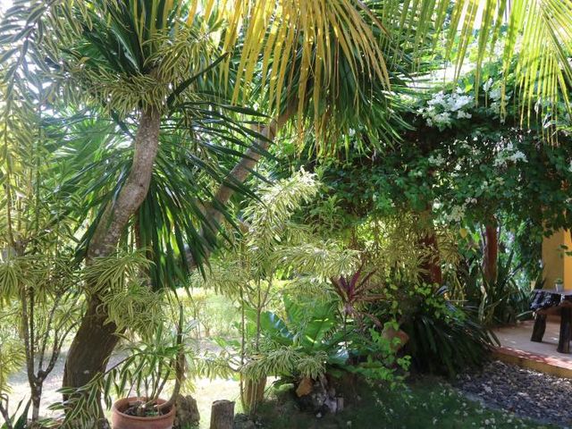 place photo 44