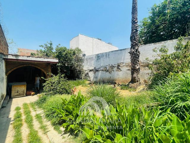 place photo 15