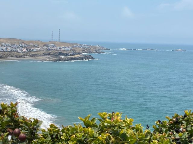 place photo 34