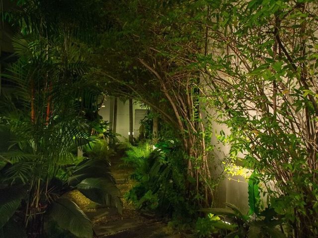 place photo 47