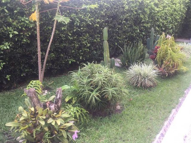 place photo 25