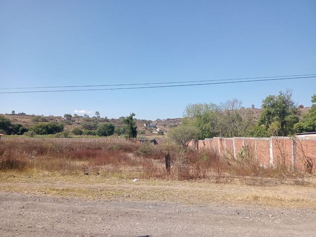 place photo 28