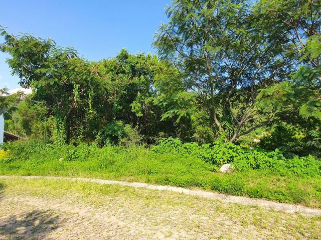 place photo 16