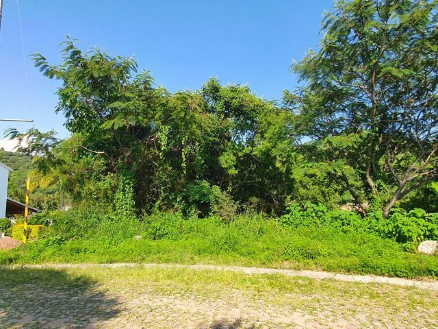 place photo 17