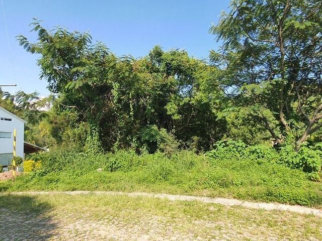 place photo 10