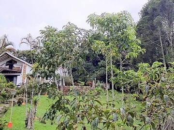 place photo 36