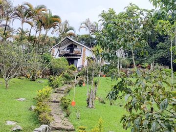 place photo 40