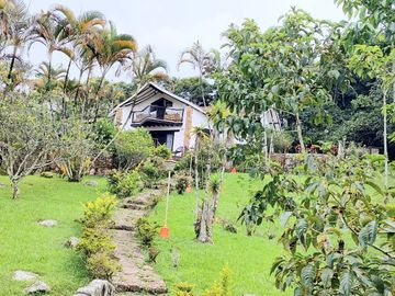 place photo 42