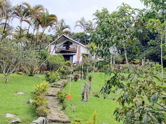 place photo 46