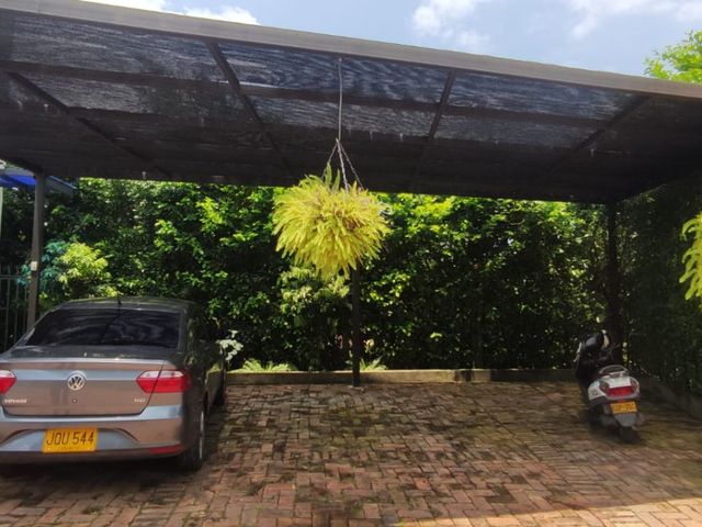 place photo 30