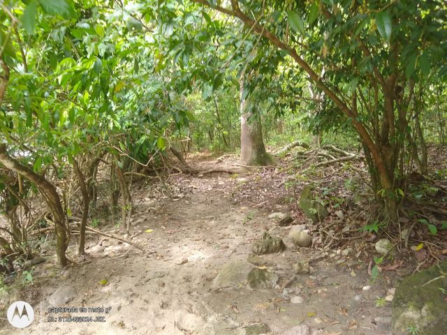 place photo 21