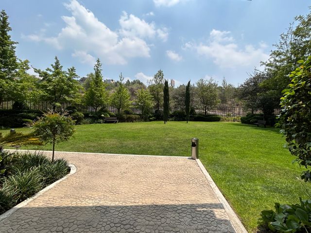 place photo 52