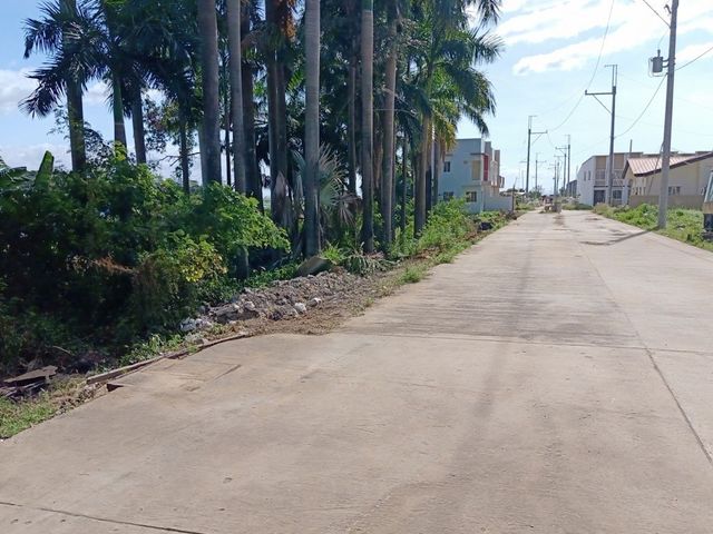 place photo 18
