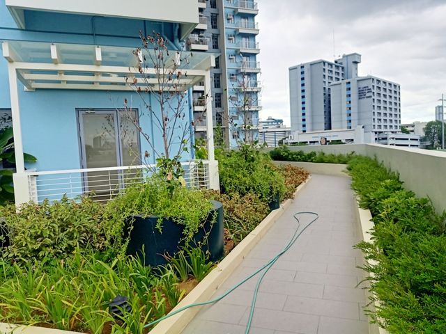 place photo 39