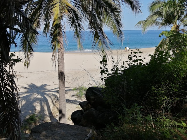place photo 14