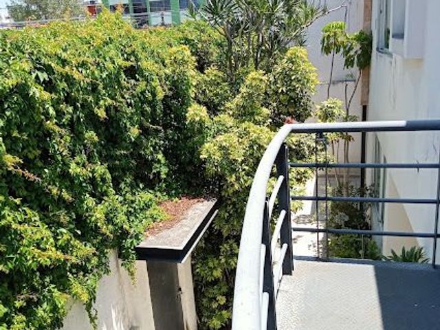 place photo 26