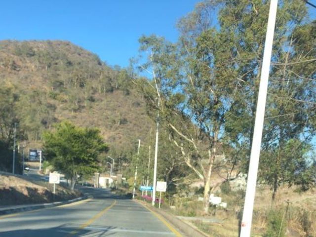 place photo 19