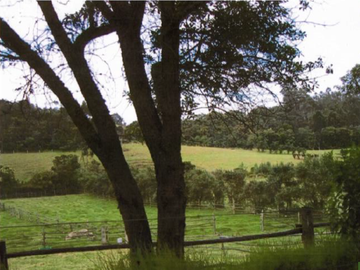 place photo 26