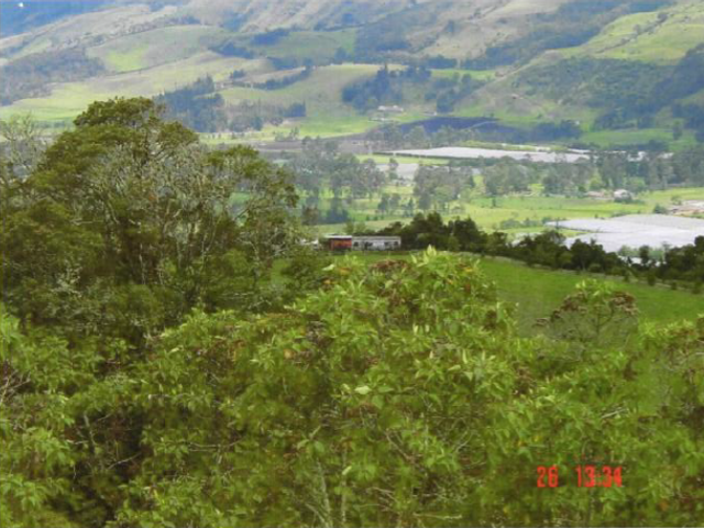 place photo 25