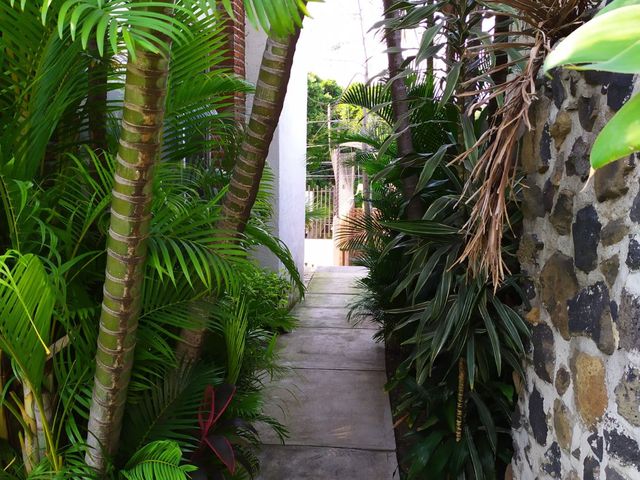 place photo 64