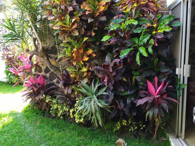 place photo 65