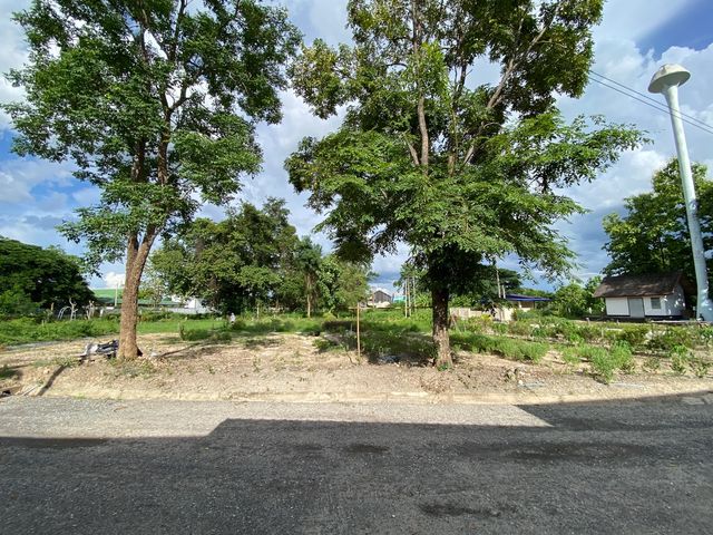 place photo 64