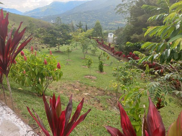 place photo 30