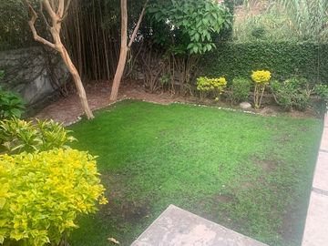 place photo 30