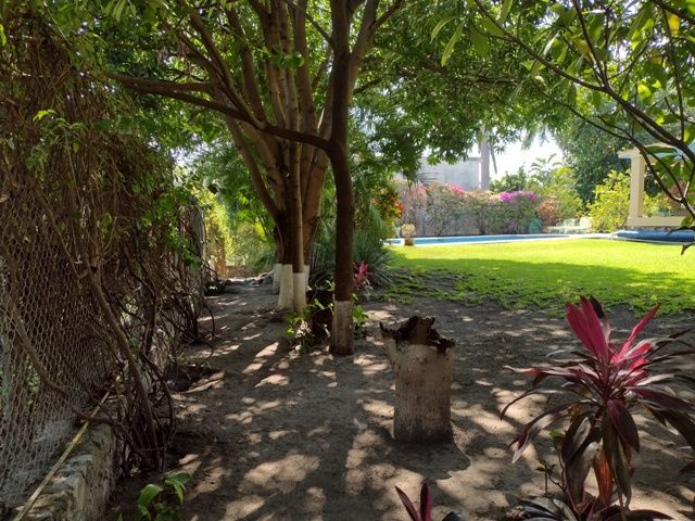 place photo 10