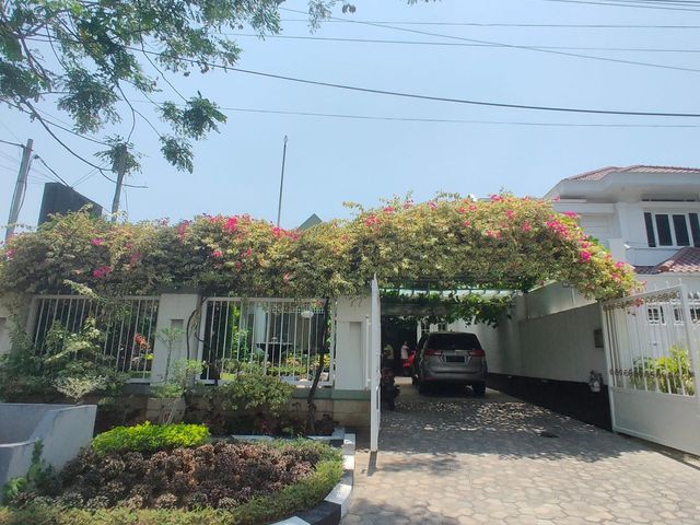 place photo 16