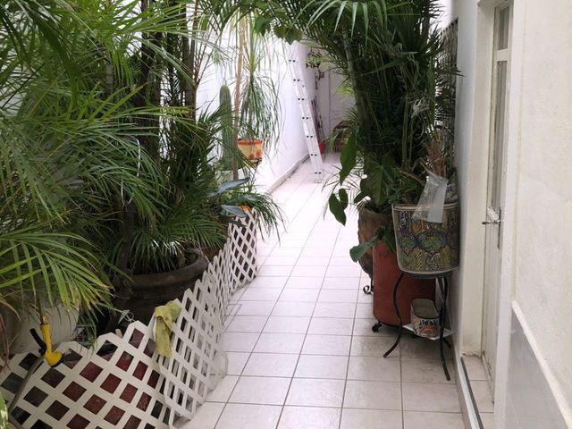 place photo 24