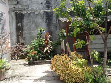 place photo 36