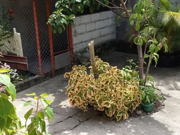 place photo 35