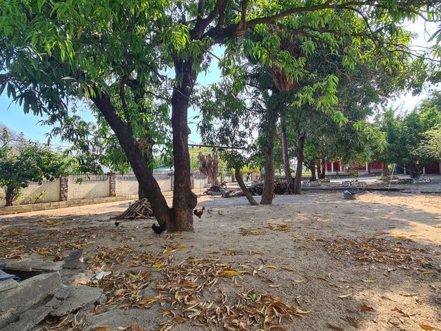 place photo 7