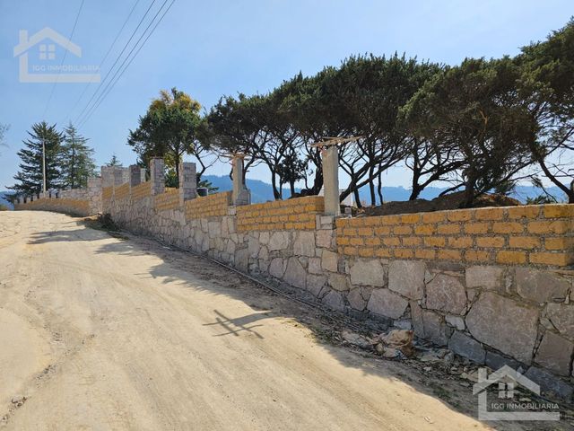 place photo 69