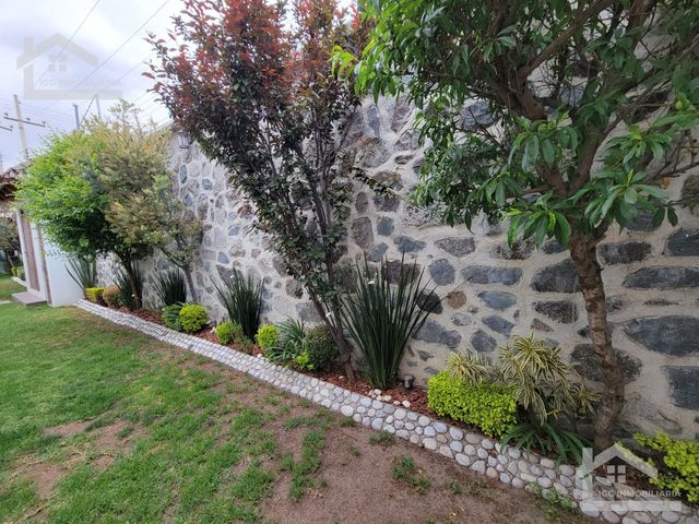place photo 64
