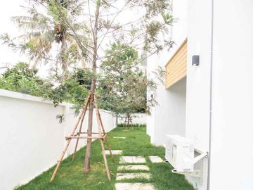 place photo 57