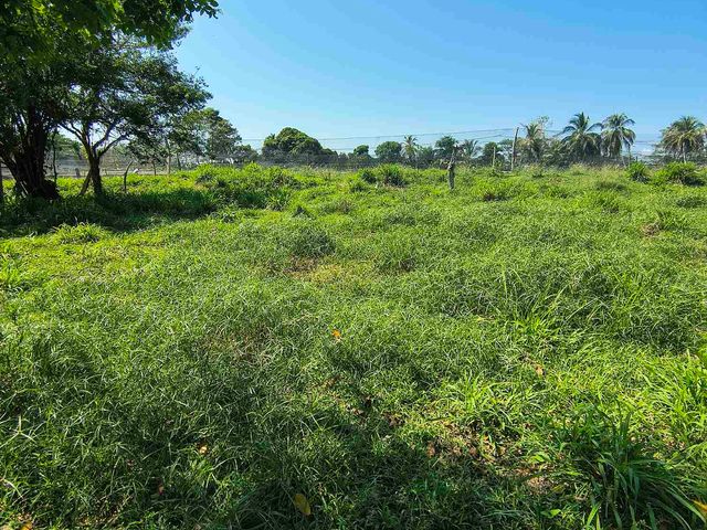 place photo 19
