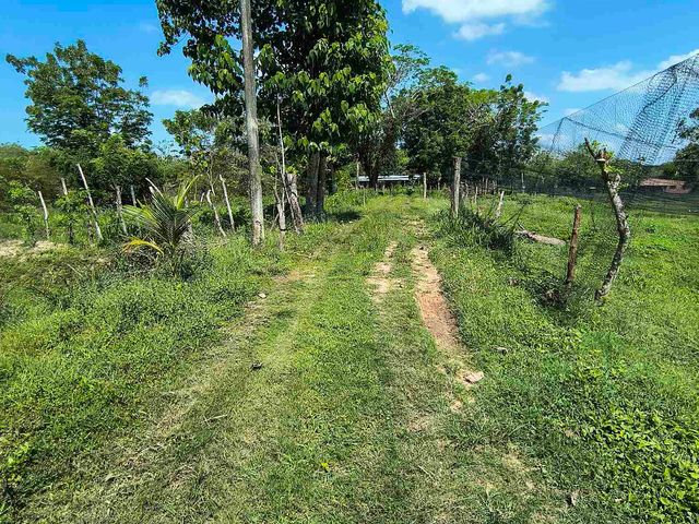 place photo 25