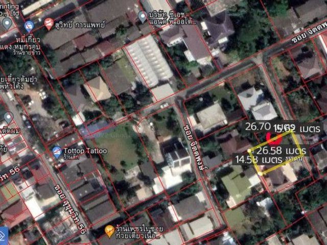 place photo 17