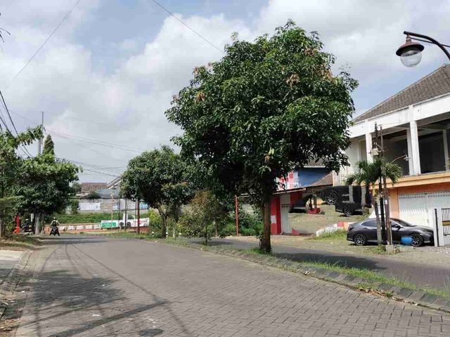 place photo 8