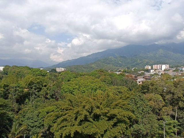 place photo 42