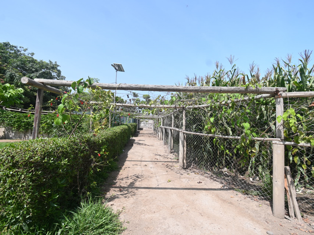 place photo 25
