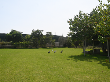 place photo 30